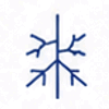 Visible varicose or spider veins